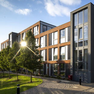 OIC_Wavy Gate0204a (7)