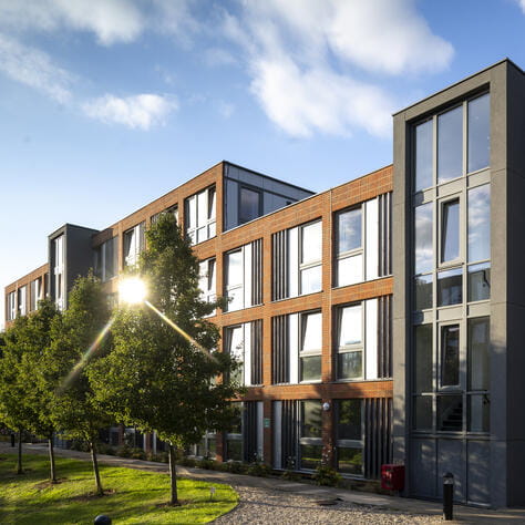 OIC_Wavy Gate0204a (7)