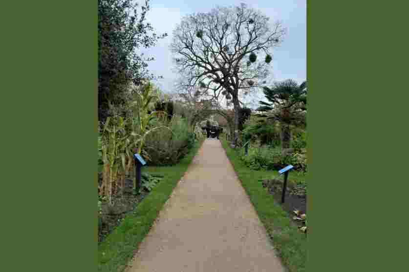 Oxford Botanic Gardens - Carousel For News Detail - OIC