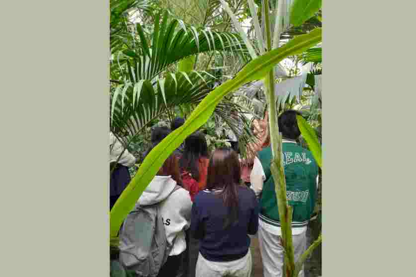 Oxford Botanic Gardens - Carousel For News Detail - OIC