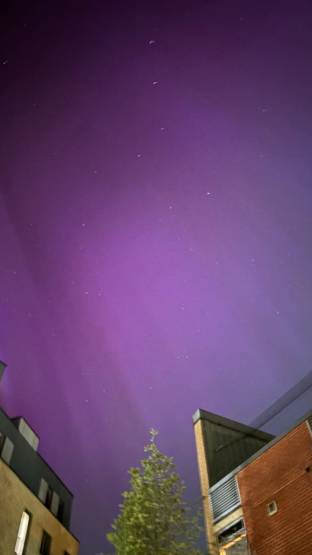 Aurora - Carousel Default Full - OIC