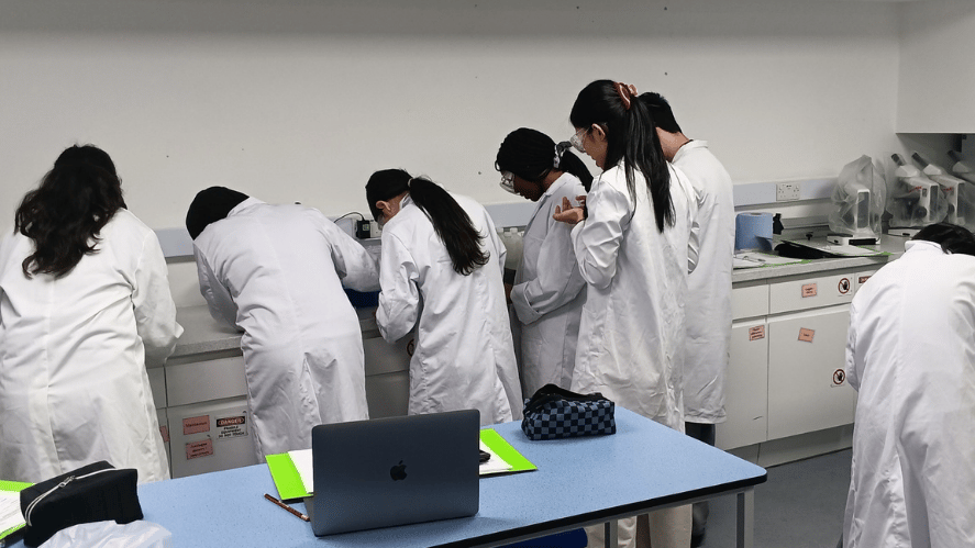 News Detail - Cells Under the Microscope