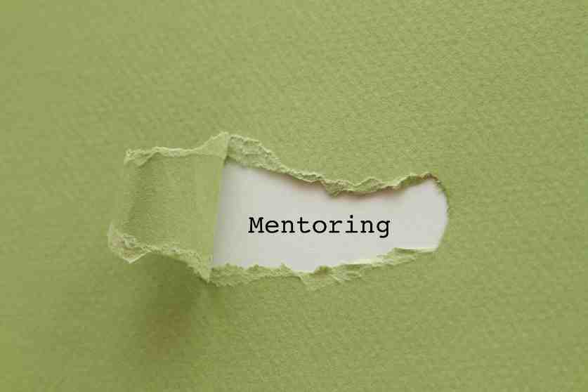 Empowering Students for Interview Success with Expert Guidance - Mentors