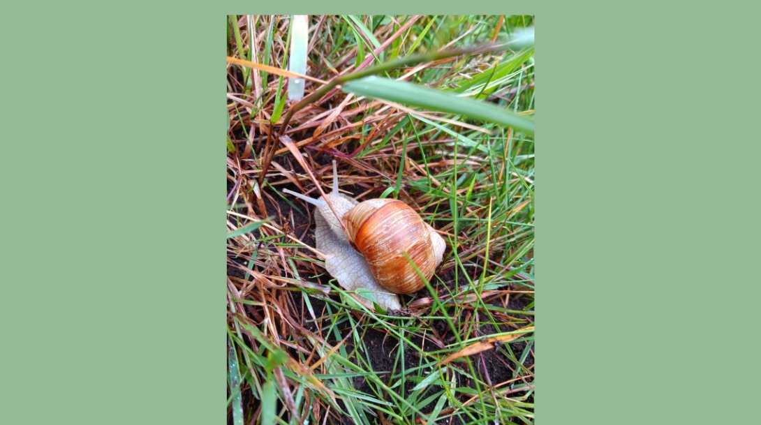 News Detail - Carousel For News Detail - OIC