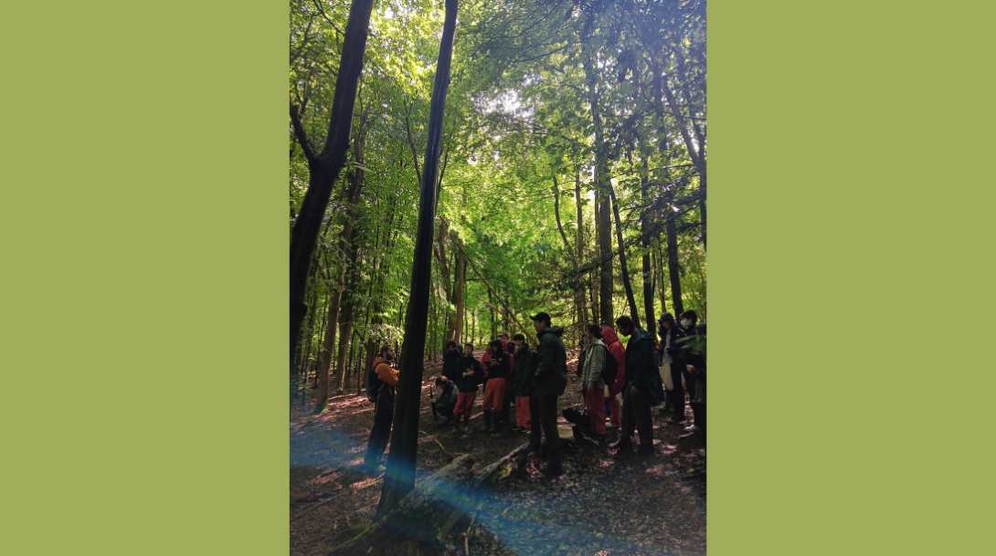 News Detail - Carousel For News Detail - OIC